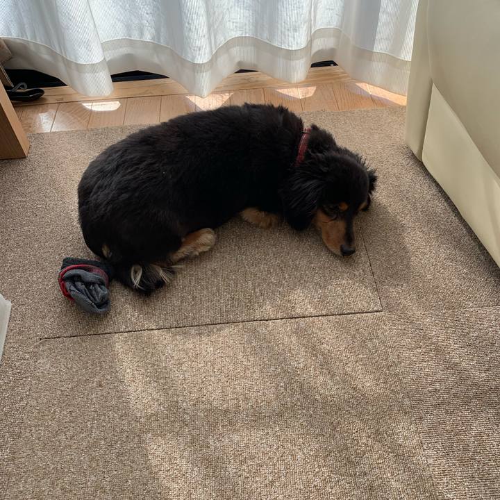 A977d954 3d21 45ac a398 983094fc7fbe 1556491273953