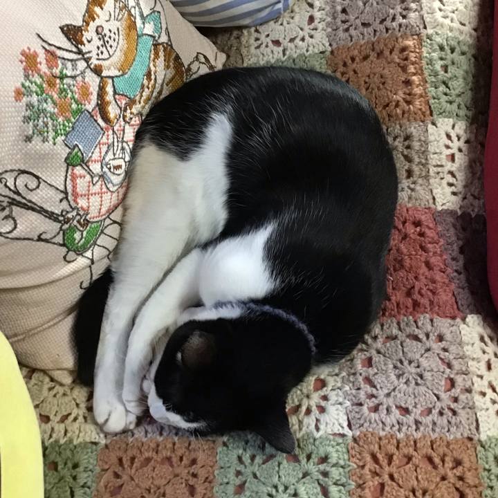 A9781edb 0d34 4f20 b285 c8492f36627c 1638682551696