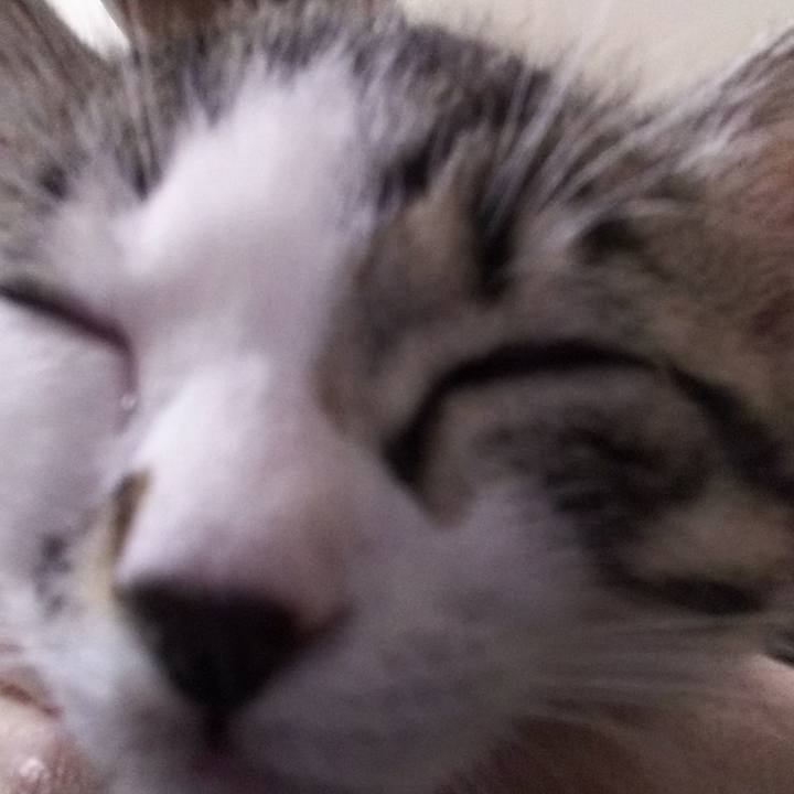 A9782a47 892f 44e4 88ee 5b29d2fe3048 1606560087479