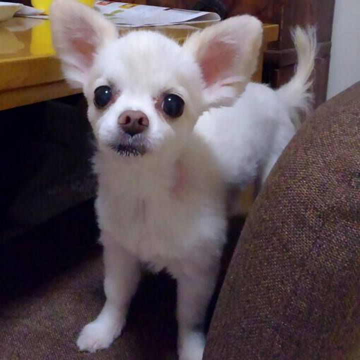 A97838af f8ac 4725 afcc abffb7af81ad 1560940923273