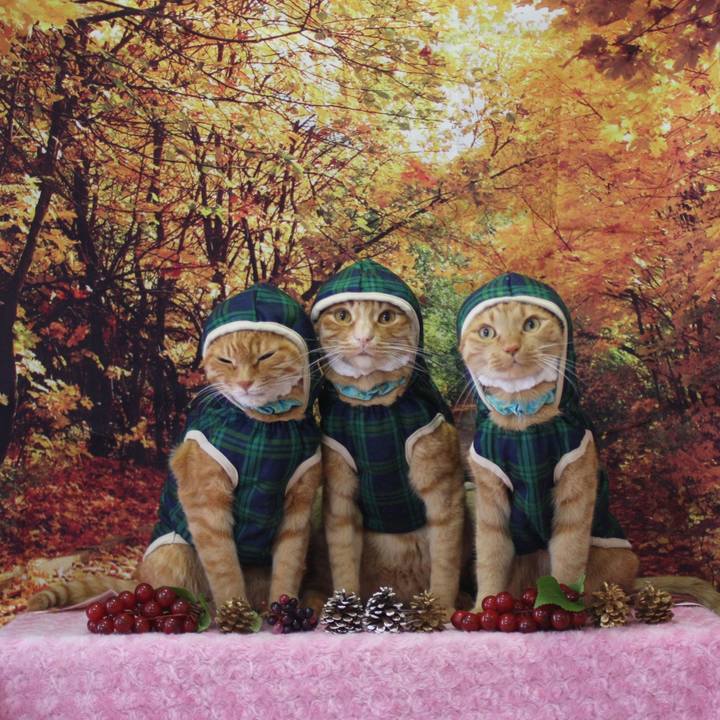 A9784b01 1555 44ff a61a 4e3dccf8d2a3 1763807672479