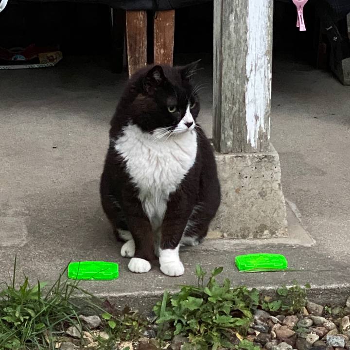 A9784f2e ce46 4a71 84e0 1f1c42455f02 1595160078208