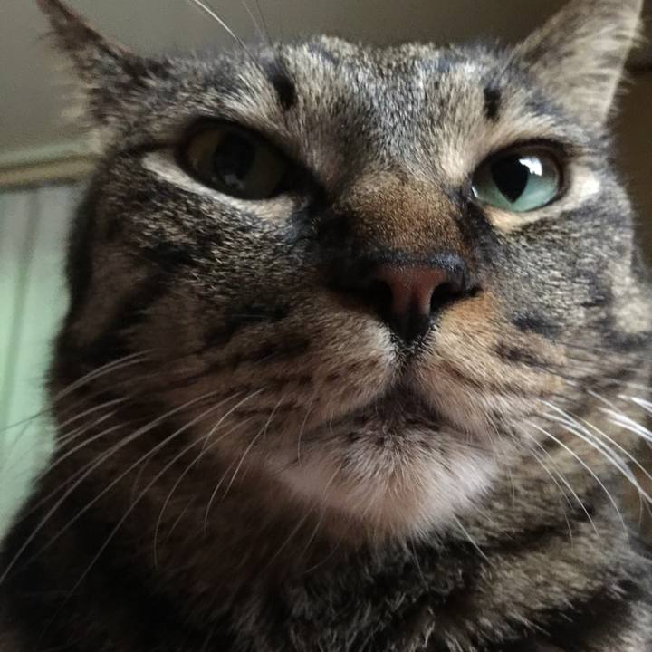 A978831f 856e 411d a3ad be22a2ba6391 1531432429588