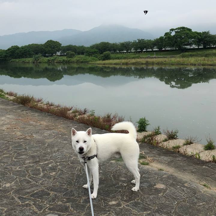 A978874c b60d 452b 832d d6f08ef1cac9 1591398776625