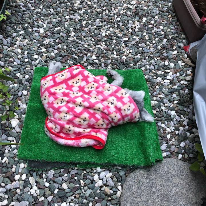 A9789561 37ba 4724 8899 4662bbdb2dd8 1669854366638