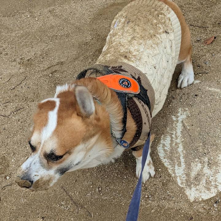 A9790107 23ce 42cb adbe f3c9c8563eea 1701935794139