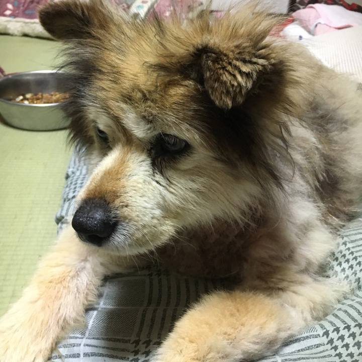 A9799449 da58 4e49 b003 4d8668cfee3d 1597471842444