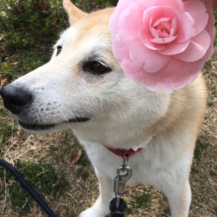 A979c673 5575 42f9 9bc2 0141adad1f87 1521892690621