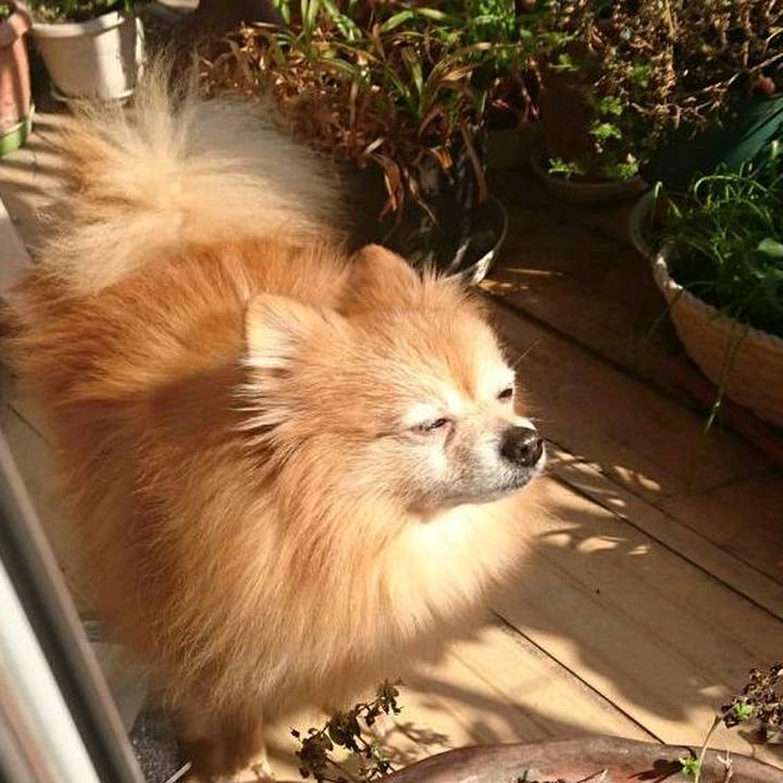 A979cbaa ed39 4f6d ac4d 173d2bed9782 1544998136941