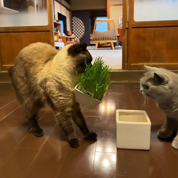 A979d0d7 e877 4f09 be74 ab5d088c3b56 1683963003887