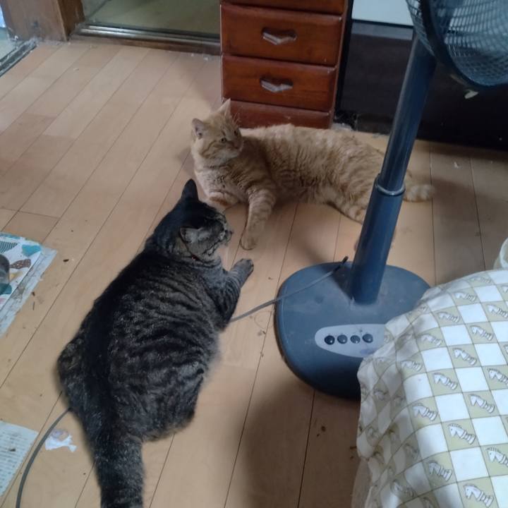 A979d3f4 82b9 4a76 b618 9e926e345d4b 1691491493669