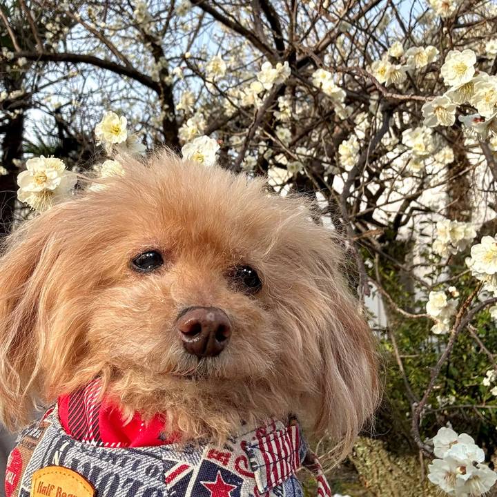 A979e8ef 94e4 45f2 a651 28c450f74aae 1772353966569