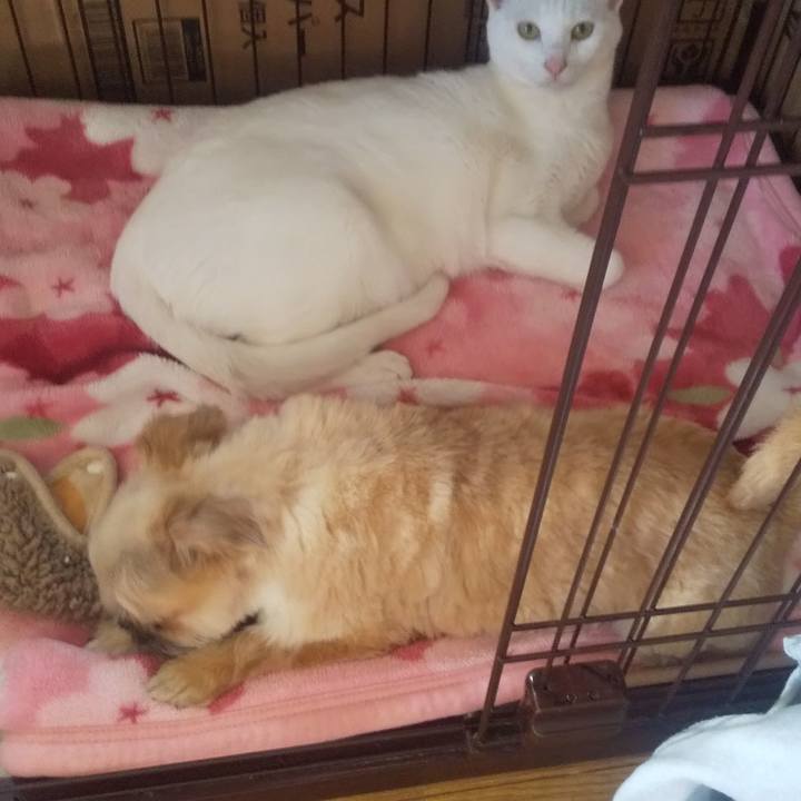 A979eb2e 792b 43e0 b19d 926026fc6f61 1709011418485