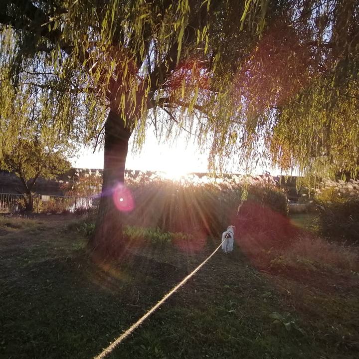 A97a36c7 6046 458c 8c88 87c9086bea2c 1574326892454