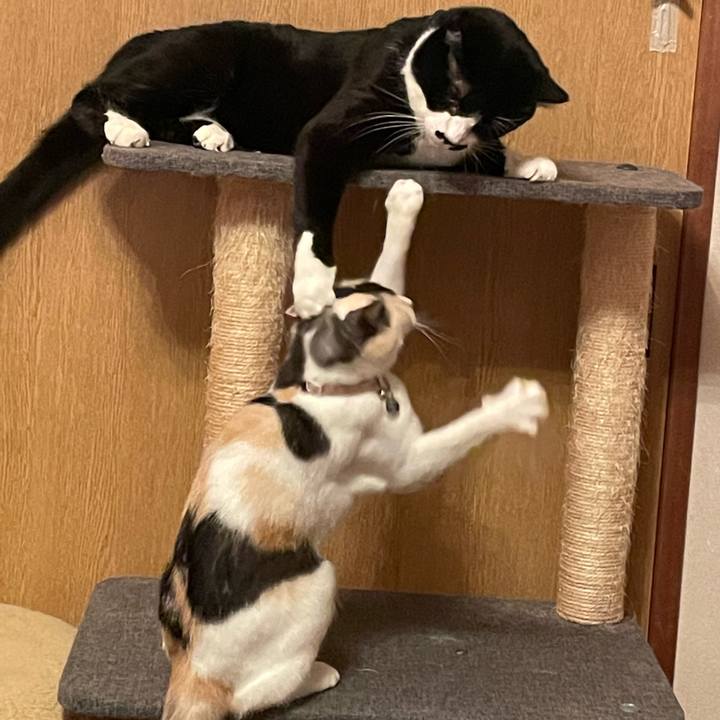 A97a4e71 1982 4801 aaf5 20982924aab4 1732455356133