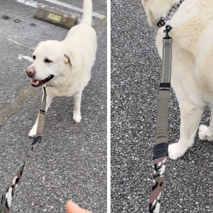 A97a66bf 22f1 45e7 8d67 36c7ef120f2f 1719480100600