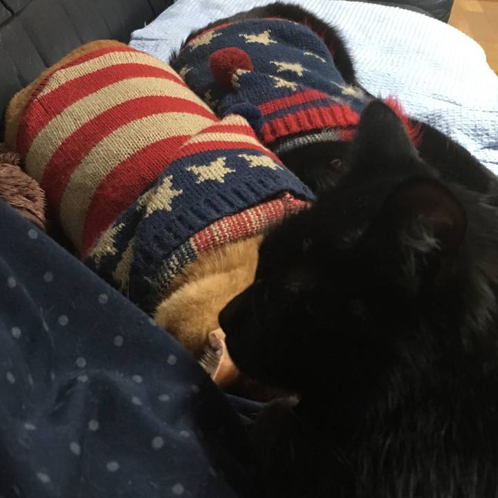 A97a67e7 e3bc 40ef 9a70 c1e8acb117ec 1542025963500