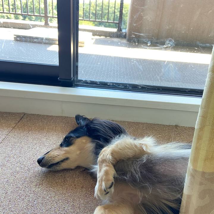 A97a6a36 eede 4663 b62d 30f957dcc24e 1724126203366