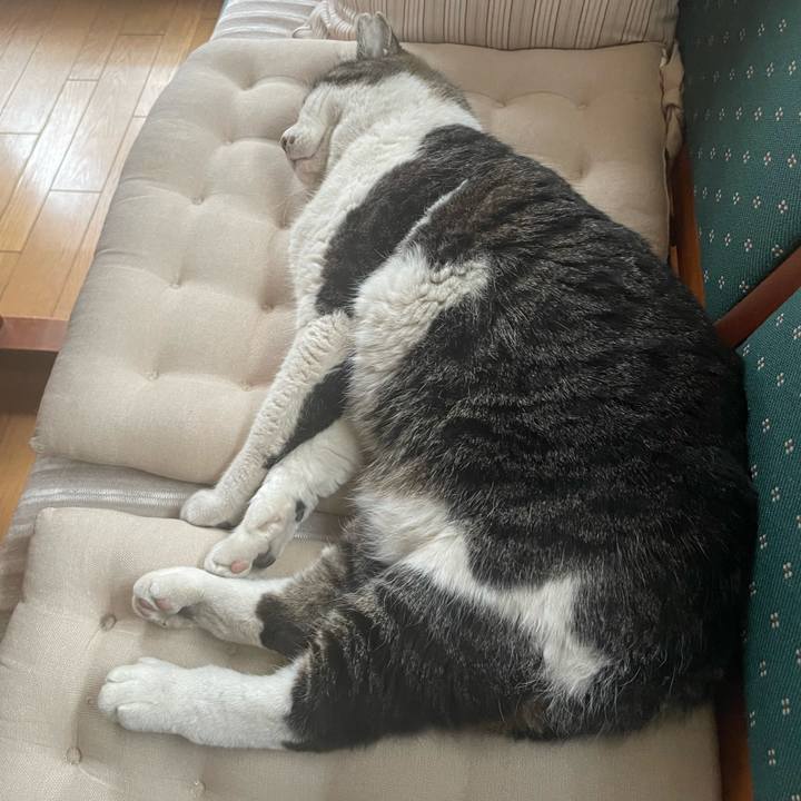 A97a795d c70d 42c1 94a8 26d9407fc75b 1682127303910