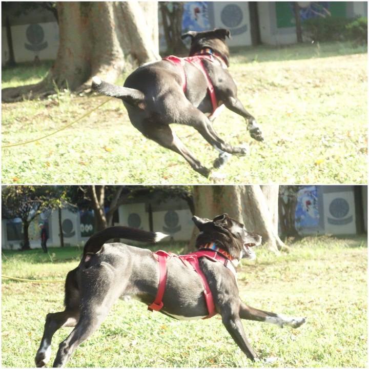 A97a82c4 7410 4d76 a028 3a7e09c47b7f 1602548508946