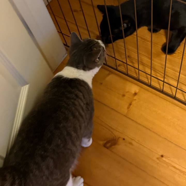 A97ad43c fa7e 486b 8376 1a5eb48dc9ab 1765578557222