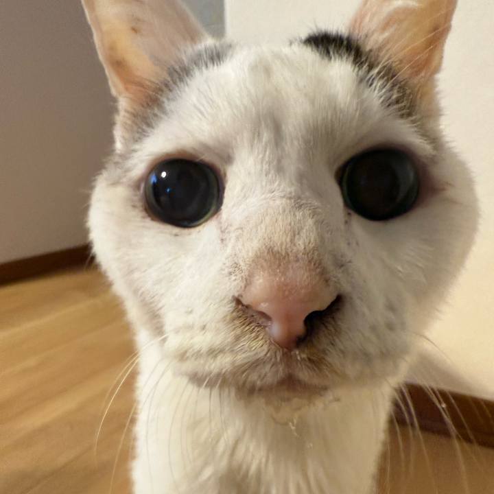 A97ae6c9 b77e 4357 8dd7 78fb53d62b9c 1768015544763