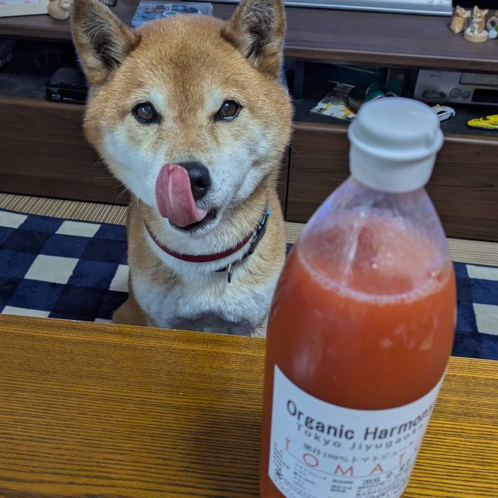 A97afde7 c842 4c3f 90c8 6f7d6a3aa22b 1742119093104