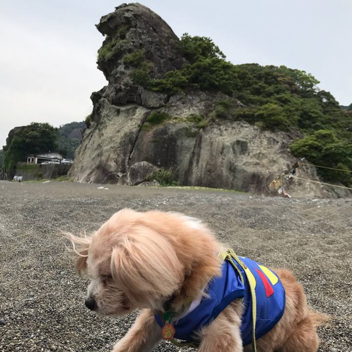 A97b6a28 0a0b 4b4b ad37 a385201b8b99 1525693558763