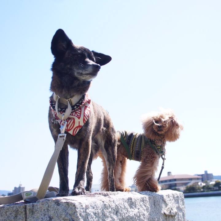 A97bb0dd e1a3 4311 b6f9 9244d4f6d2e5 1554347991430