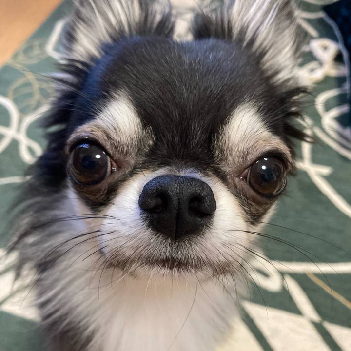 A97bdb32 c5e7 46e3 b7f6 aa0bf205211e 1633131490122