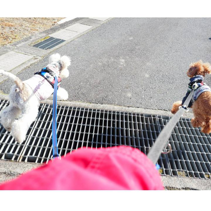 A97bff00 9ccf 4400 a5c5 5edee4f4ede3 1513601243580