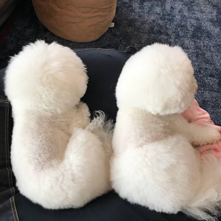 A97c0037 1722 469c b4d3 f9159ada0111 1549600989807