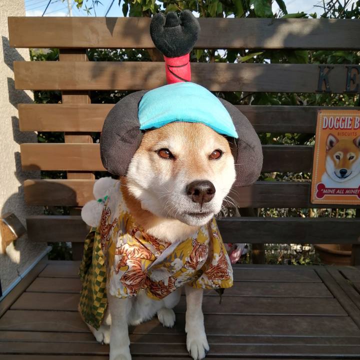 A97c0daf 2ccf 460f 9b91 61b8e8c26fe3 1675524446073