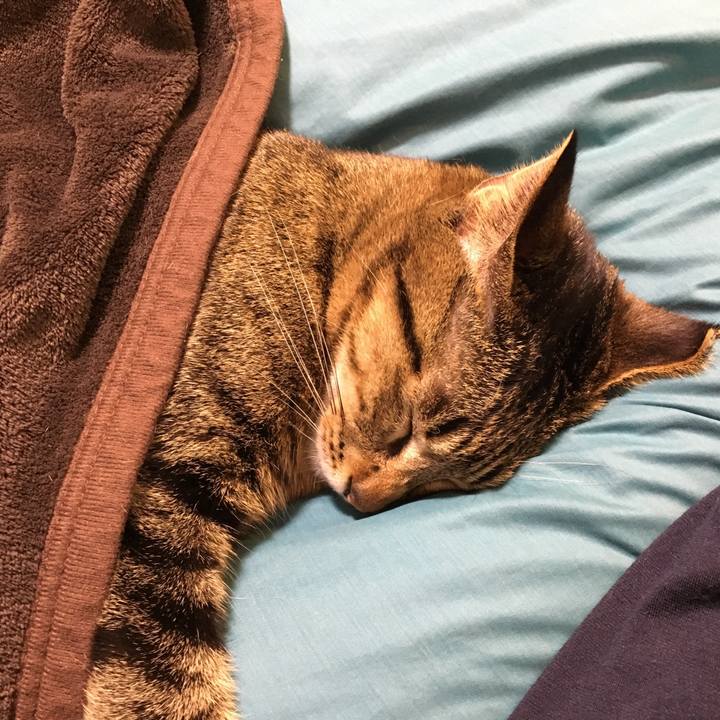 A97c0f81 5c30 4adf a264 0ad3f3356a02 1521029979082