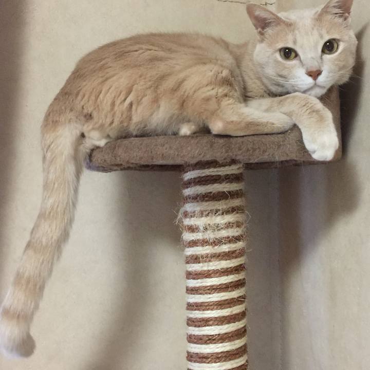 A97c565c 3a64 48ba aff1 177ef4e88703 1553606435423