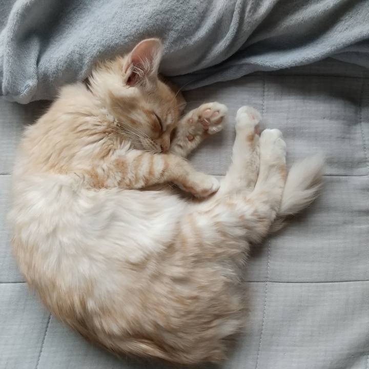 A97c801c d898 4a10 a953 29beca704b7f 1607144507521