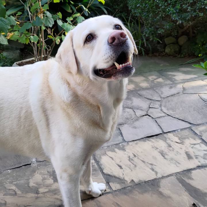 A97c9758 fa07 4191 a87f 90c959df2d92 1697265296995