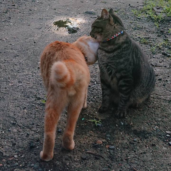 A97cb079 c08a 458f 9e56 ae9be2196bbf 1661893840218