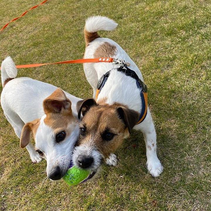 A97cb52c 5131 4830 9312 d2b41ea5beb0 1589028164310