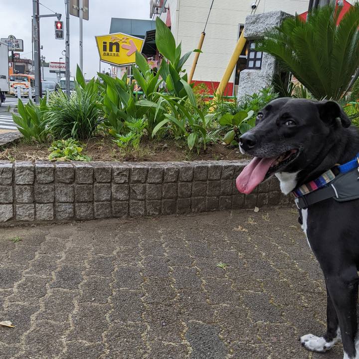 A97d00d9 89e4 4200 a314 a03531b754af 1657584737176