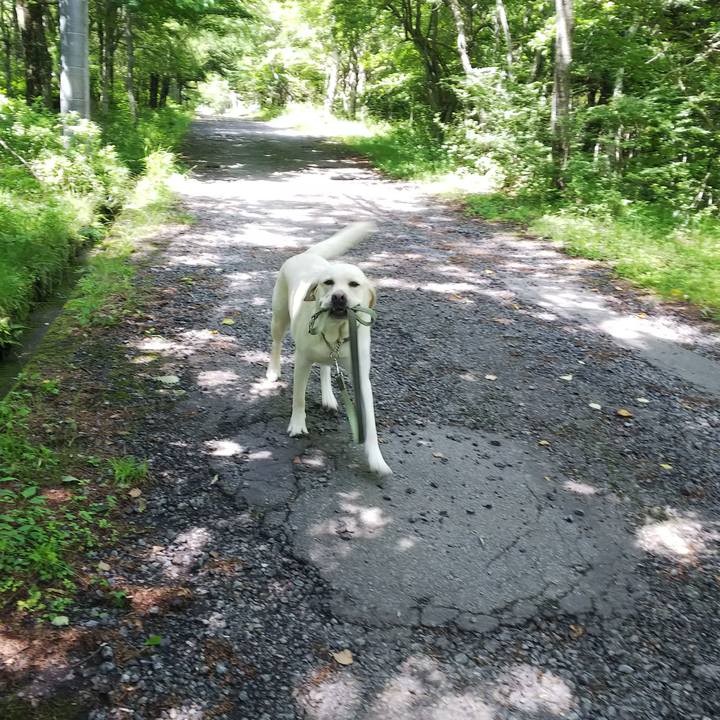 A97d07c9 018d 4bd4 9983 9e1f387a6599 1531535129690