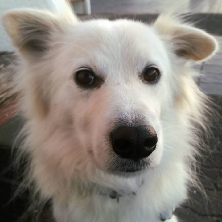 A97d3f43 54d7 4788 ba4a 01f8f7a18f5d 1513555408816