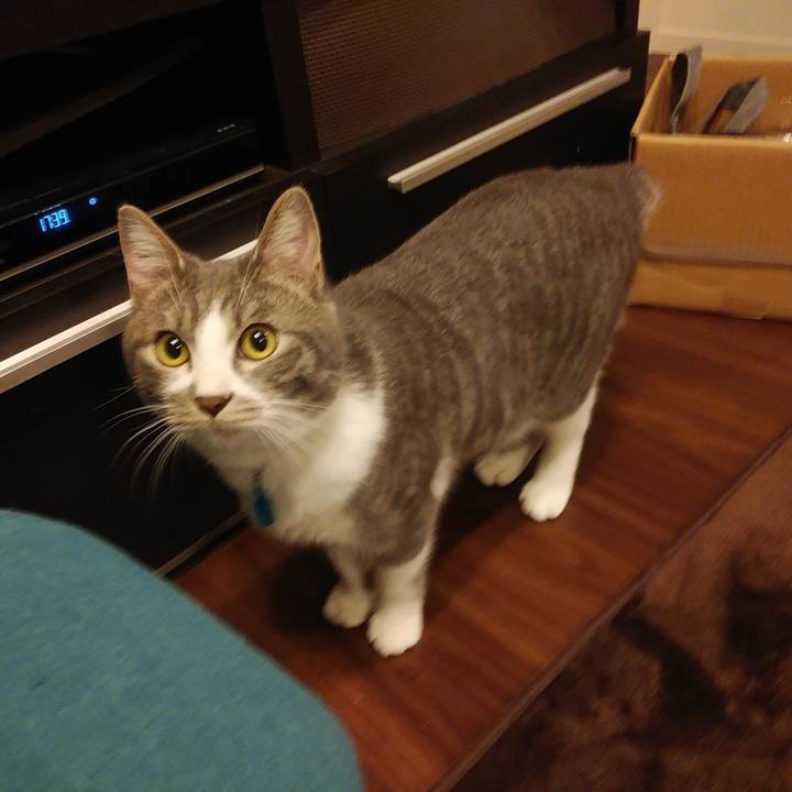 A97d43c6 66d1 40e5 a343 a5e6416d4929 1578040853914