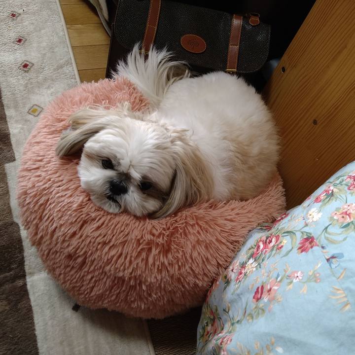 A97d7e9d b672 4d05 b424 aa4370932596 1641991132597