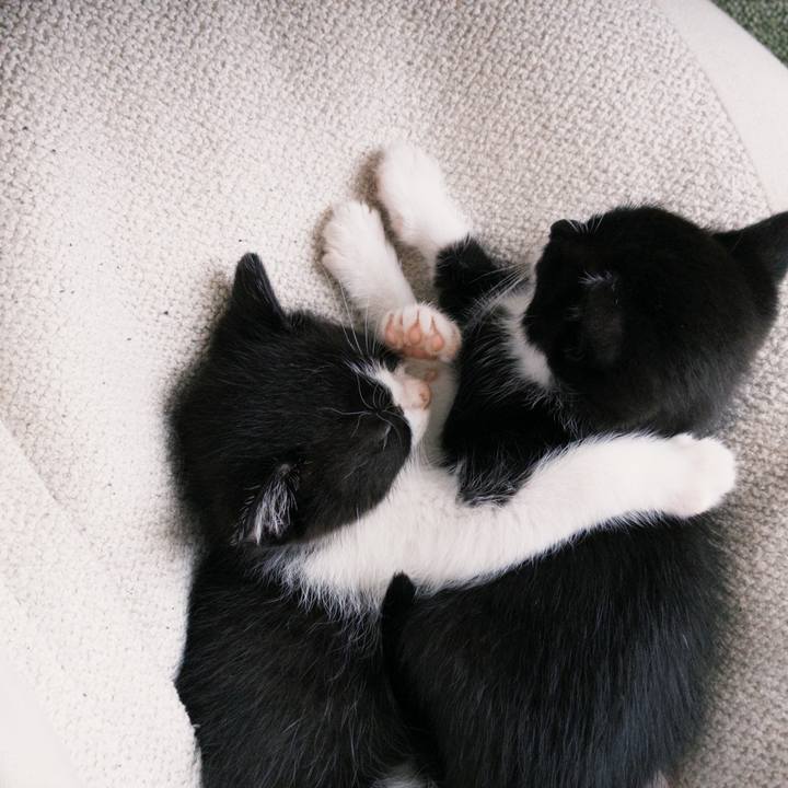 A97de877 584d 41ee 8adc 596493f4f0fd 1760865525988