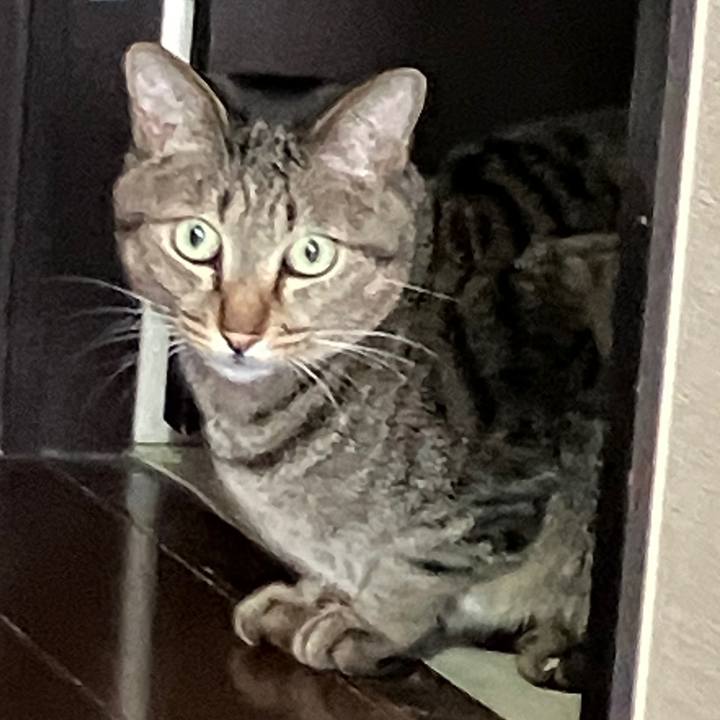 A97e1de1 71ce 4c97 a1aa b52324024aec 1761606732040