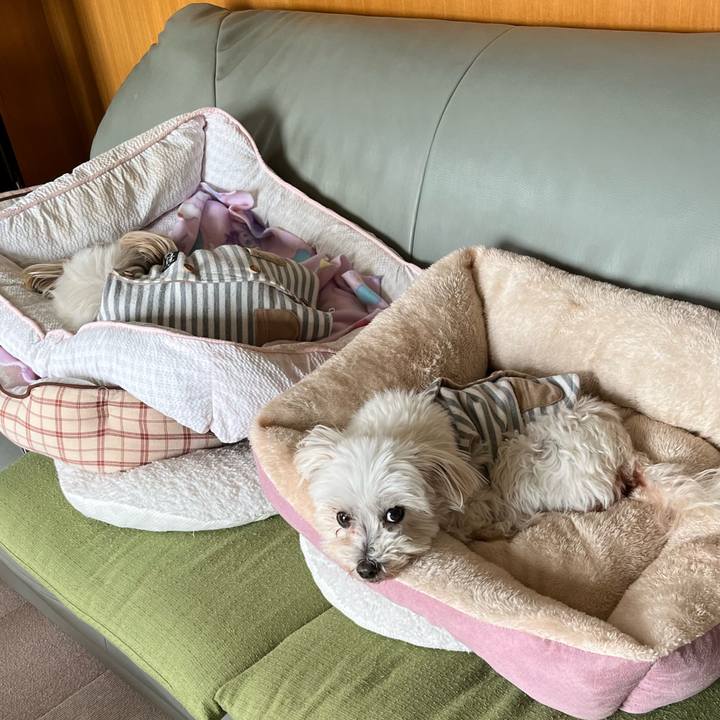 A97e2903 07eb 4c72 babf 5831f5ef1e82 1711264894242