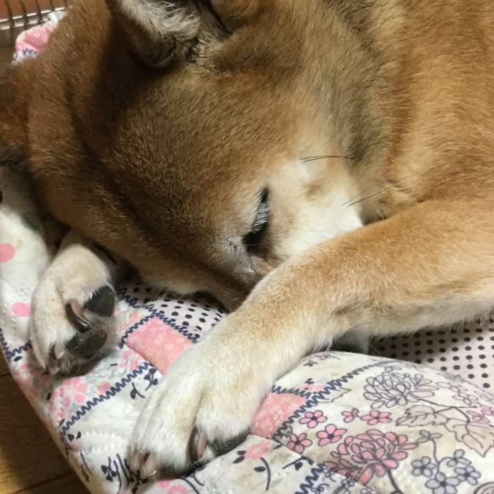 A97e48df a8e9 401b 8c9f a94a2fa358b4 1631190212608