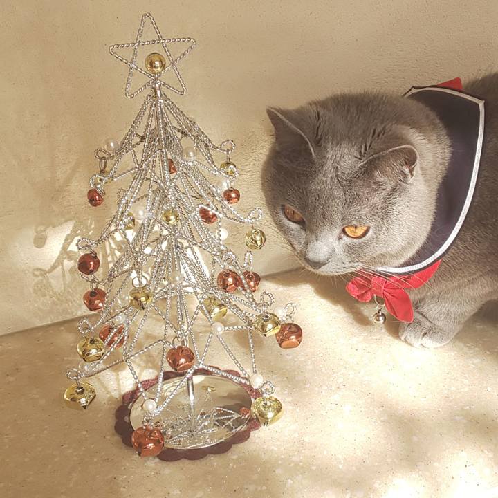 A97e4979 4656 4ae5 9b54 74a7686a7fa8 1542762487430