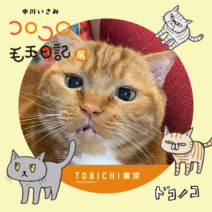 A97e9a43 81cc 4d18 b85c ed2f8986870c 1740304613849